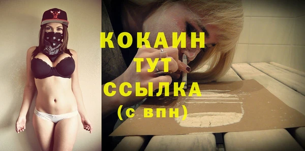 стаф Аркадак