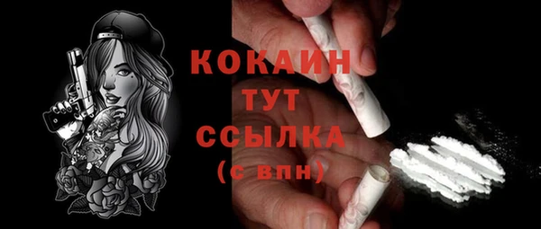 стаф Аркадак