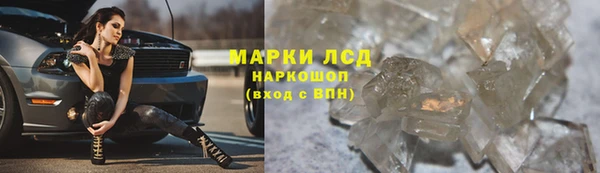 стаф Аркадак