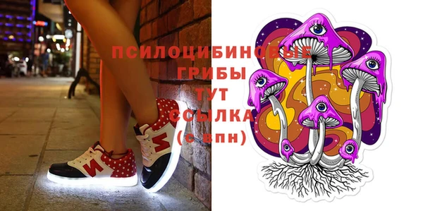 дмт Армянск