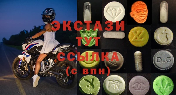 стаф Аркадак